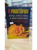 Bông hồng vàng và bình minh mưa 