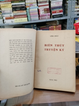 BIÊN THÙY TRUYỆN KỶ