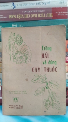 TRỒNG HÁI VÀ DÙNG CÂY THUỐC