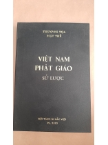 VIỆT NAM PHẬT GIÁO SỬ LƯỢC 