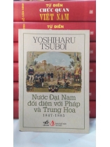 NƯỚC ĐẠI NAM ĐỐI DIỆN VỚI PHÁP VÀ TRUNG HOA