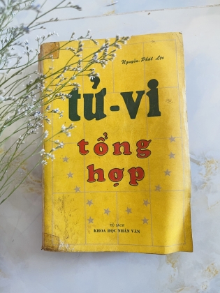 TỬ VI TỔNG HỢP