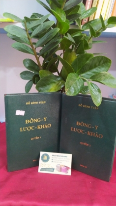 ĐÔNG Y LƯỢC KHẢO