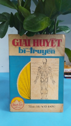 GIẢI HUYỆT BÍ TRUYỀN