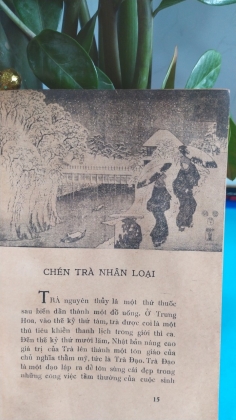 TRÀ ĐẠO