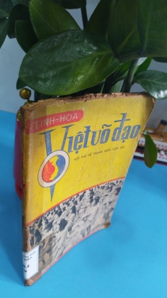 VIỆT VÕ ĐẠO