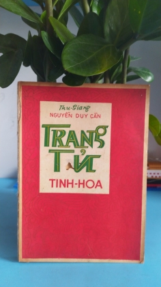 TRANG TỬ TINH HOA