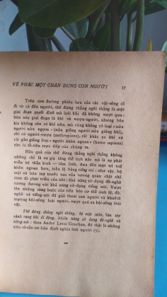 VẼ PHÁC MỘT CHÂN DUNG CON NGƯỜI