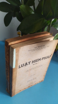 LUẬT HIẾN PHÁP 