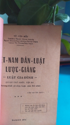 VIỆT NAM DÂN LUẬT LƯỢC GIẢNG - VŨ VĂN MẪU