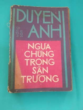 NGỰA CHỨNG TRONG SÂN TRƯỜNG