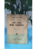 NỖI LÒNG ĐỒ CHIỂU