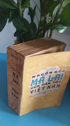 NGUỒN GỐC MÃ LAI CỦA DÂN TỘC VIỆT NAM