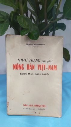 THỰC TRẠNG CỦA GIỚI NÔNG DÂN VIỆT NAM