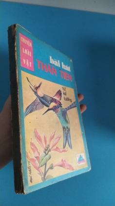 BÀI HÁT THẦN TIÊN