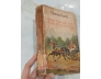 NGƯỜI TÌNH ĐẦU TIÊN NGƯỜI YÊU CUỐI CÙNG - THOMAS HARDY (NGUYỄN ĐAN TÂM DỊCH THUẬT)