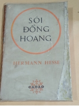 SÓI ĐỒNG HOANG