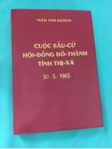 CUỘC BẦU CỬ HỘI ĐỒNG ĐÔ THÀNH TỈNH THỊ XÃ 