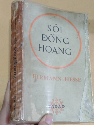 SÓI ĐỒNG HOANG