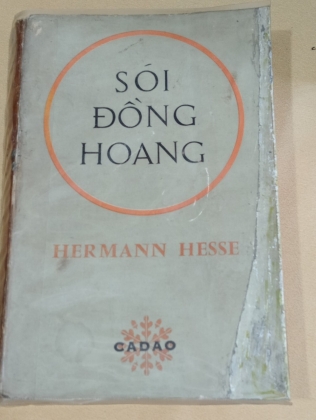 SÓI ĐỒNG HOANG