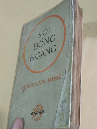 SÓI ĐỒNG HOANG