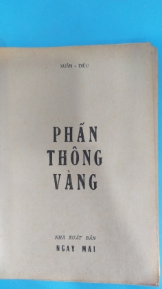 PHẤN THÔNG VÀNG