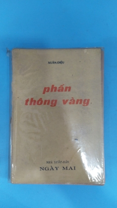 PHẤN THÔNG VÀNG