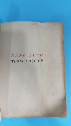 NÀNG ÁI CƠ TRONG CHẬU ÚP