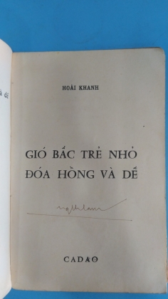 GIÓ BẤT TRẺ NHỎ ĐÓA HỒNG VÀ DẾ