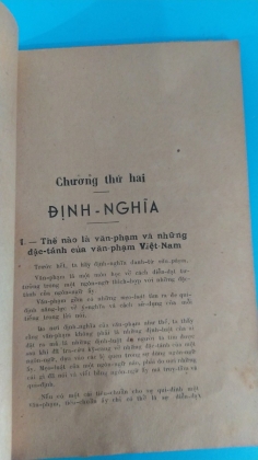 NHỮNG NHẬN XÉT VỀ VĂN PHẠM VIỆT NAM