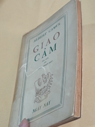 GIAO CẢM