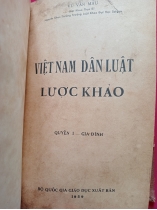 VIỆT NAM DÂN LUẬT LƯỢC KHẢO - VŨ VĂN MẪU