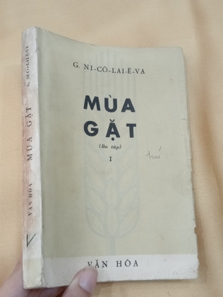 MÙA GẶT