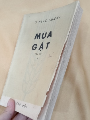 MÙA GẶT