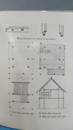 NGƯỜI MƯỜNG 