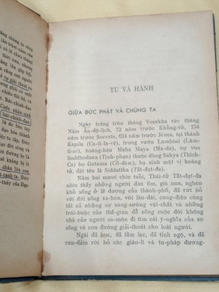 ĐỨC PHẬT GIỮA CHÚNG TA