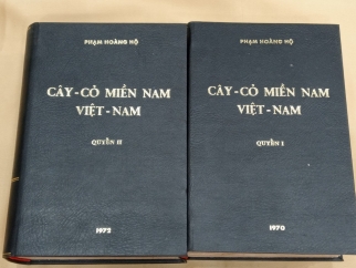 CÂY CỎ MIỀN NAM VIỆT NAM