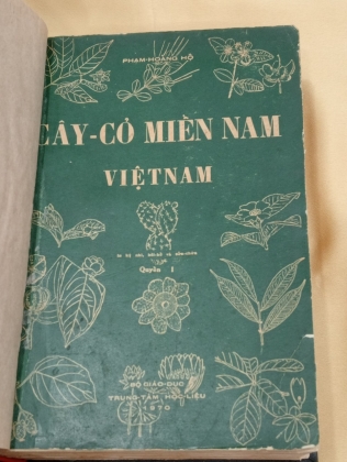 CÂY CỎ MIỀN NAM VIỆT NAM