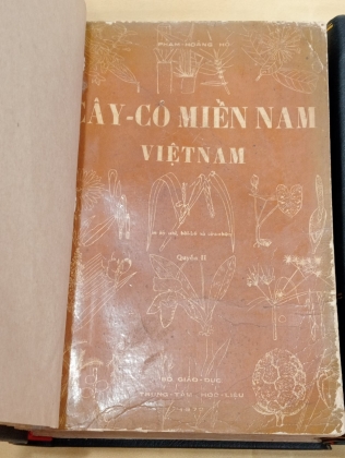 CÂY CỎ MIỀN NAM VIỆT NAM