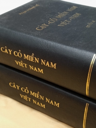 CÂY CỎ MIỀN NAM VIỆT NAM