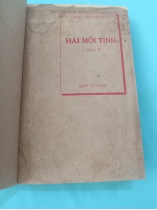 HAI MỐI TÌNH 