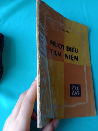 MƯỜI ĐIỀU TÂM NIỆM