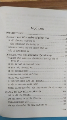 VĂN HÓA VĂN VẬT ĐỒNG NAI