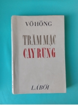 TRẦM MẶC CÂY RỪNG