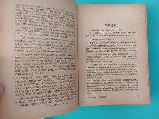 VĂN HỌC VIỆT NAM (ĐỐI KHÁNG TRUNG HOA & THẾ HỆ DẤN THÂN YÊU ĐỜI)