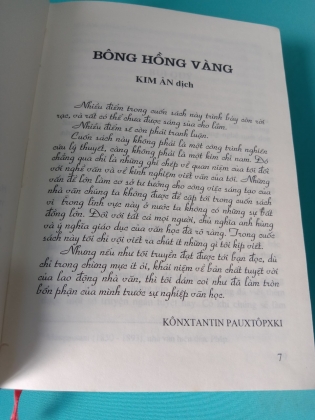 BÔNG HỒNG VÀNG VÀ BÌNH MINH MƯA