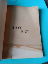 SAO RƠI - TRÚC SĨ