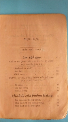 BỊNH ĐÀN BÀ 