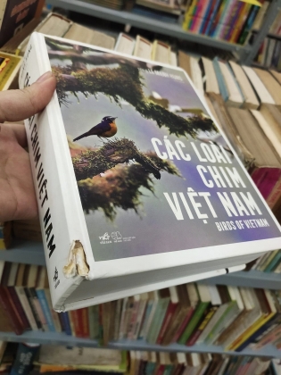 CÁC LOÀI CHIM VIỆT NAM