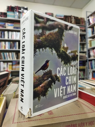 CÁC LOÀI CHIM VIỆT NAM